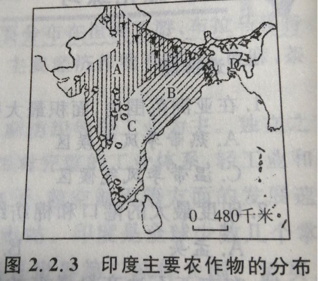 青島成人高考高起點