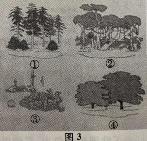 青島成人高考高起點(diǎn)