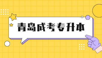 青島成考專升本