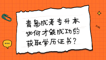 青島成考專升本