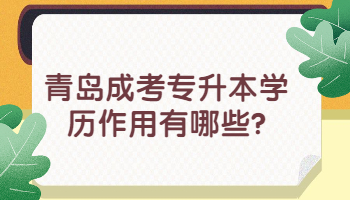 青島成考專升本
