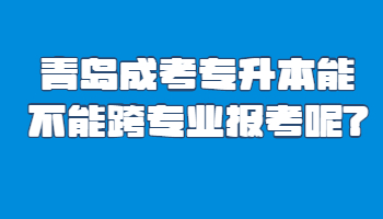 青島成考專升本