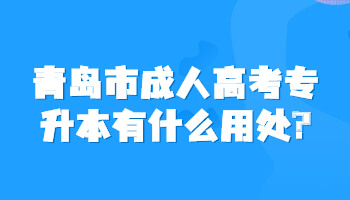 青島市成人高考專升本
