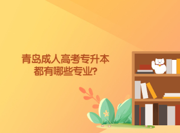 青島成人高考專升本都有哪些專業(yè)?